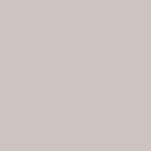 Purion Korpusfarbe Nr. 070